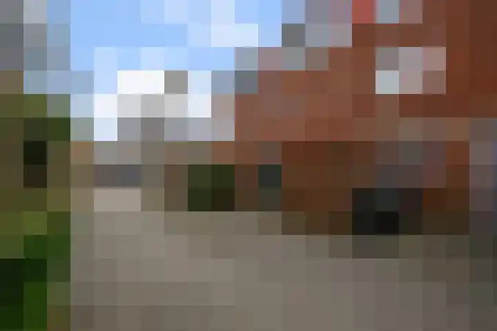 Veersemeer 41 Zaandam thumbnail 32