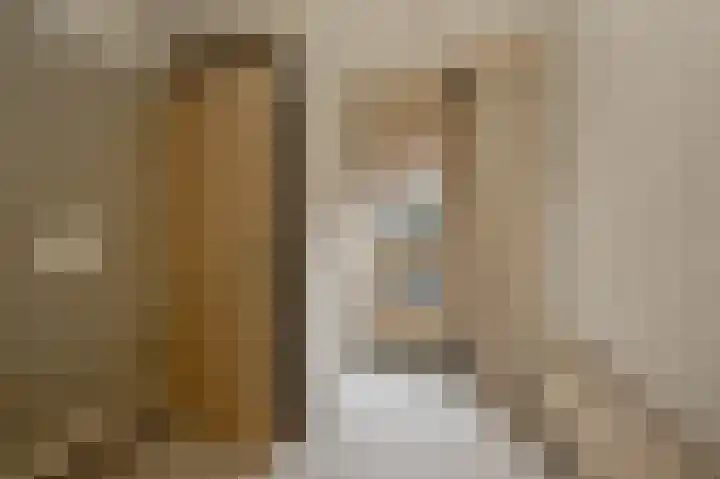 Veersemeer 41 Zaandam thumbnail 9