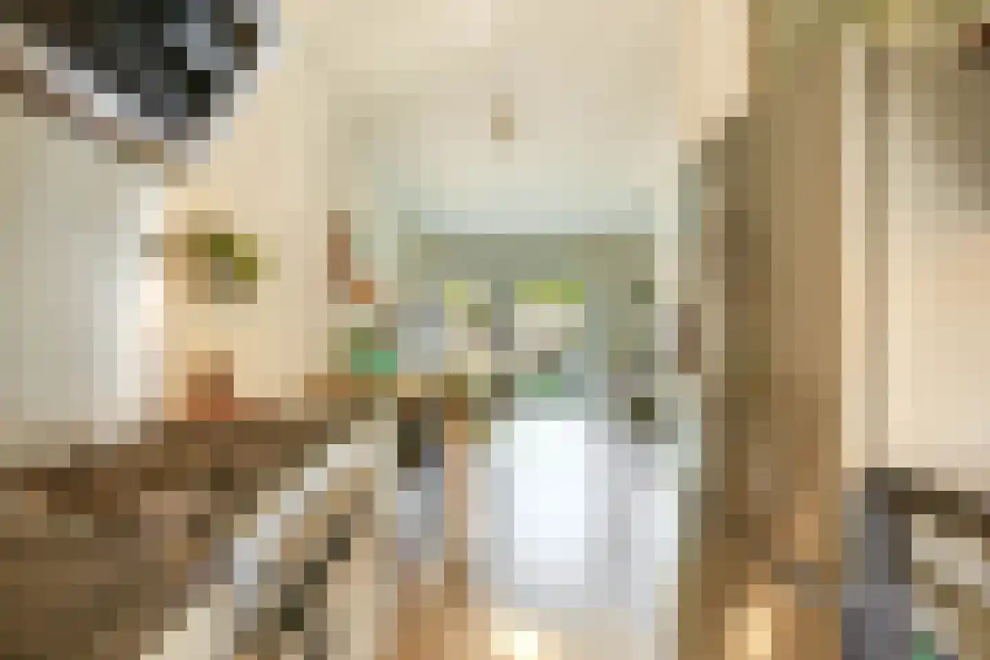 Veersemeer 42 Zaandam thumbnail 12