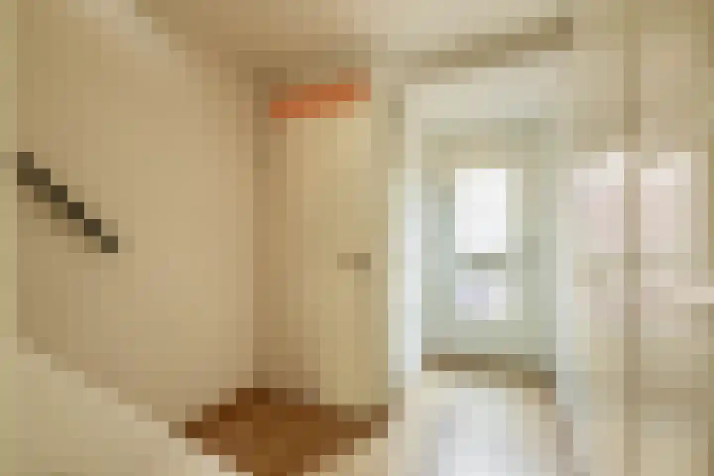 Veersemeer 42 Zaandam thumbnail 20