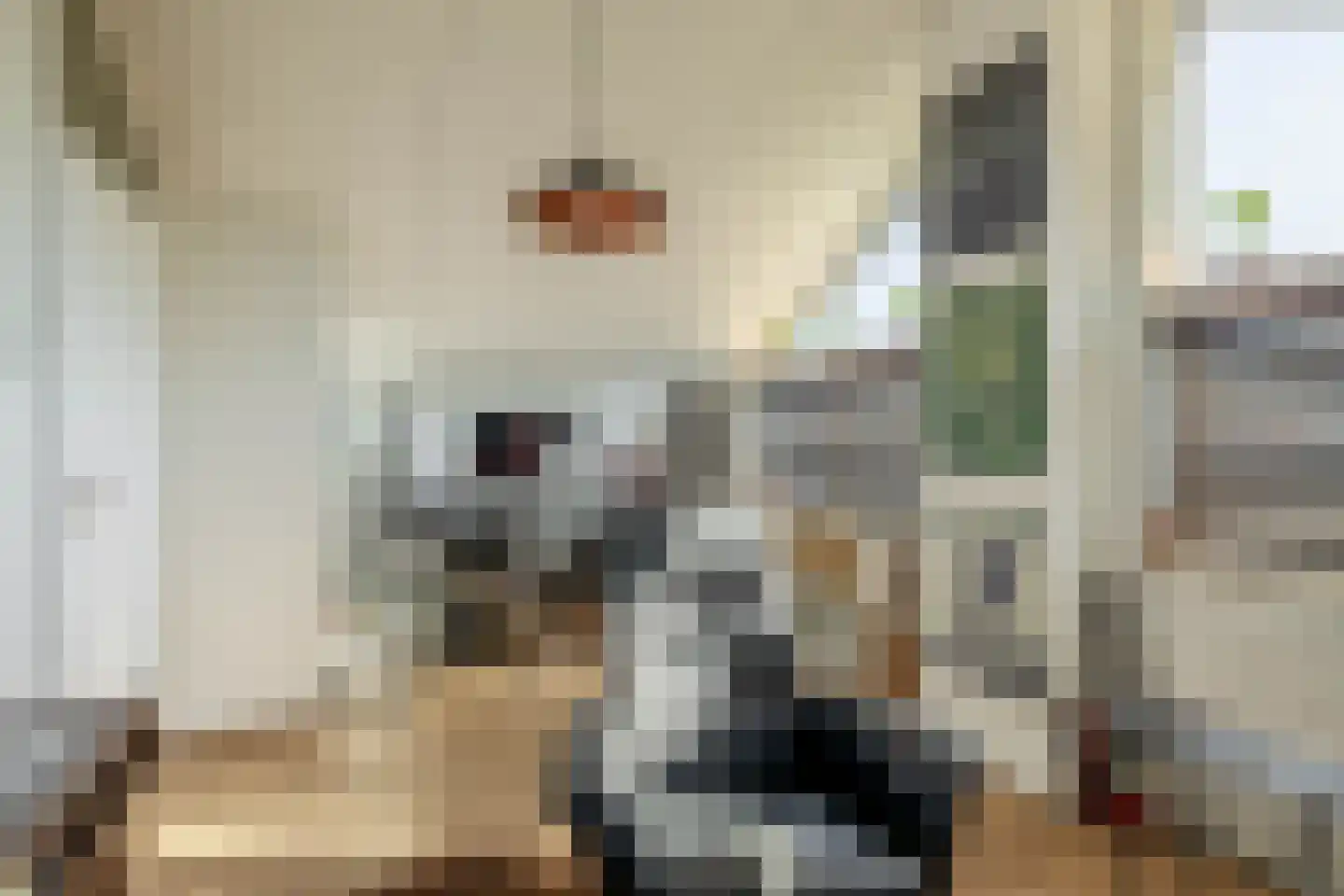 Veersemeer 42 Zaandam thumbnail 29