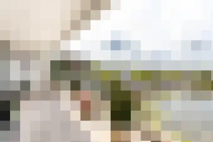 Veersemeer 58 Purmerend thumbnail 34
