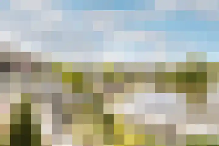 Veersemeer 58 Purmerend thumbnail 35