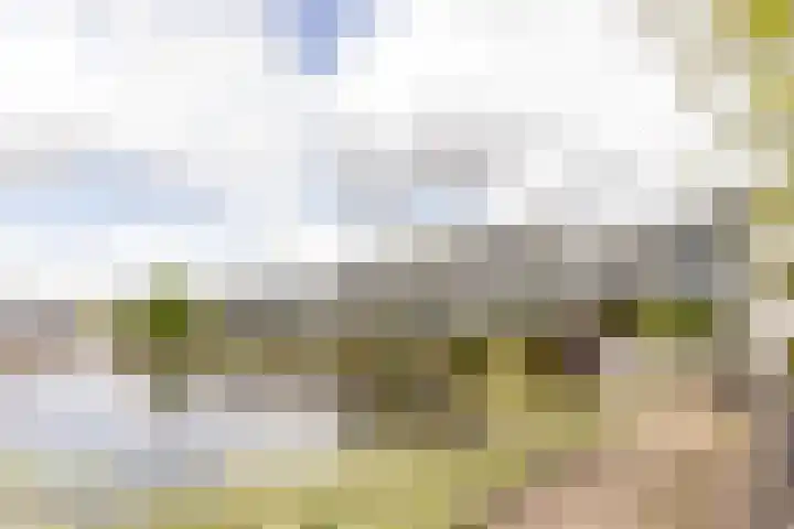 Veersemeer 58 Purmerend thumbnail 41