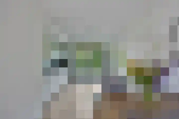 Veersemeerstraat 21 Berkel en Rodenrijs thumbnail 12