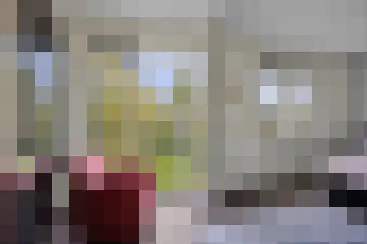 Veersemeerstraat 21 Berkel en Rodenrijs thumbnail 20