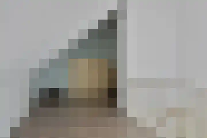Veersemeerstraat 21 Berkel en Rodenrijs thumbnail 30