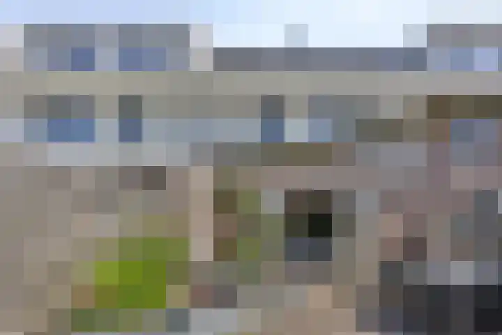 Veersemeerstraat 21 Berkel en Rodenrijs thumbnail 41