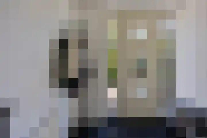 Veersemeerstraat 21 Berkel en Rodenrijs thumbnail 5