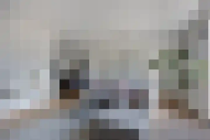 Veersemeerstraat 21 Berkel en Rodenrijs thumbnail 8