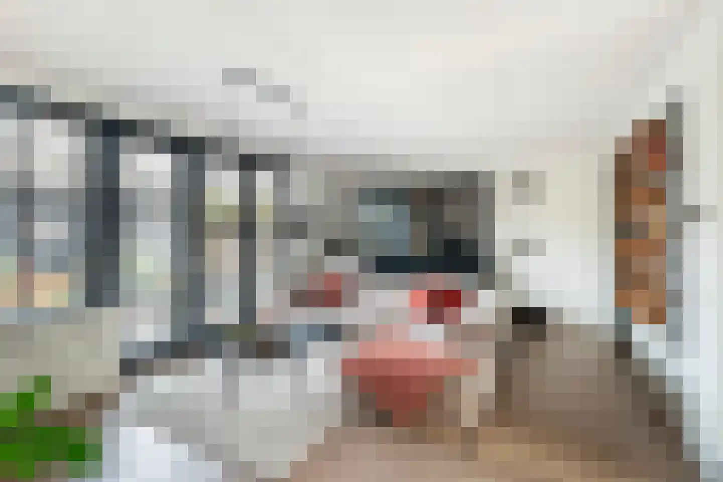 Veersemeerstraat 27 Berkel en Rodenrijs thumbnail 11