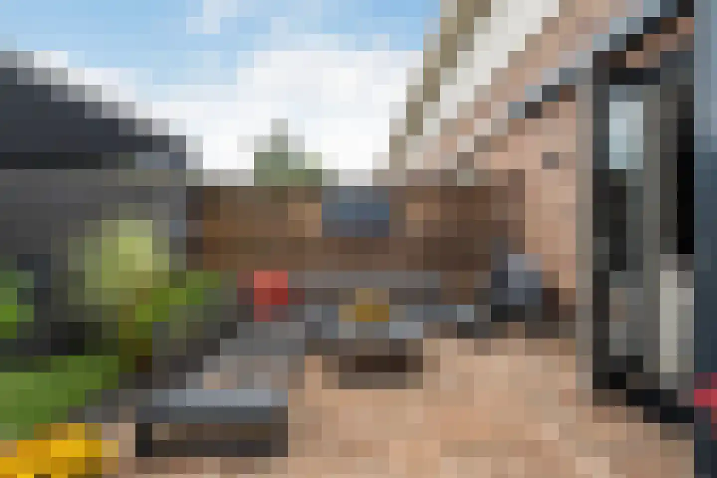 Veersemeerstraat 27 Berkel en Rodenrijs thumbnail 16