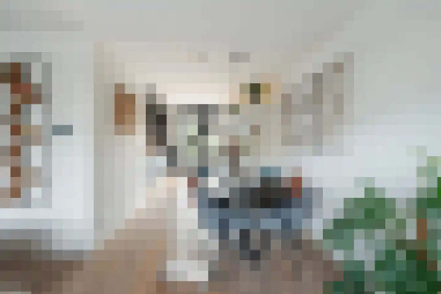 Veersemeerstraat 27 Berkel en Rodenrijs thumbnail 20