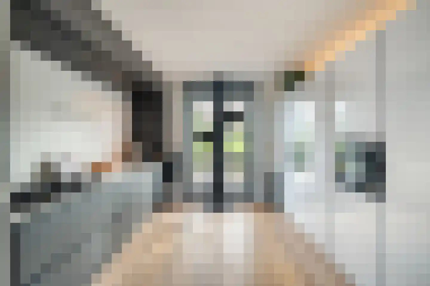Veersemeerstraat 27 Berkel en Rodenrijs thumbnail 23
