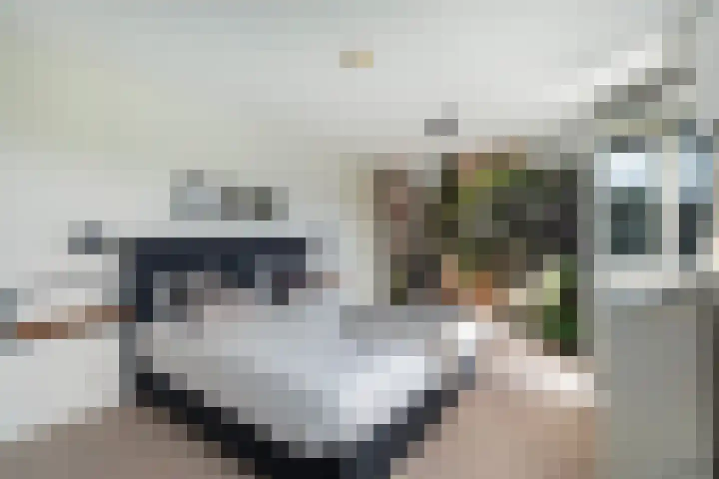 Veersemeerstraat 27 Berkel en Rodenrijs thumbnail 29