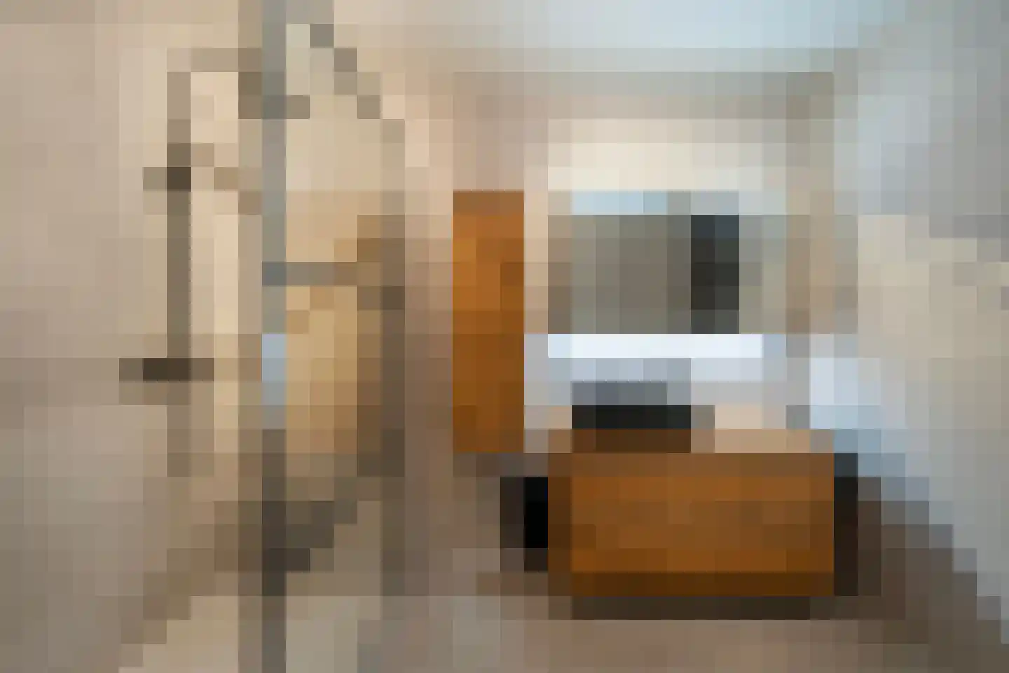 Veersemeerstraat 27 Berkel en Rodenrijs thumbnail 31