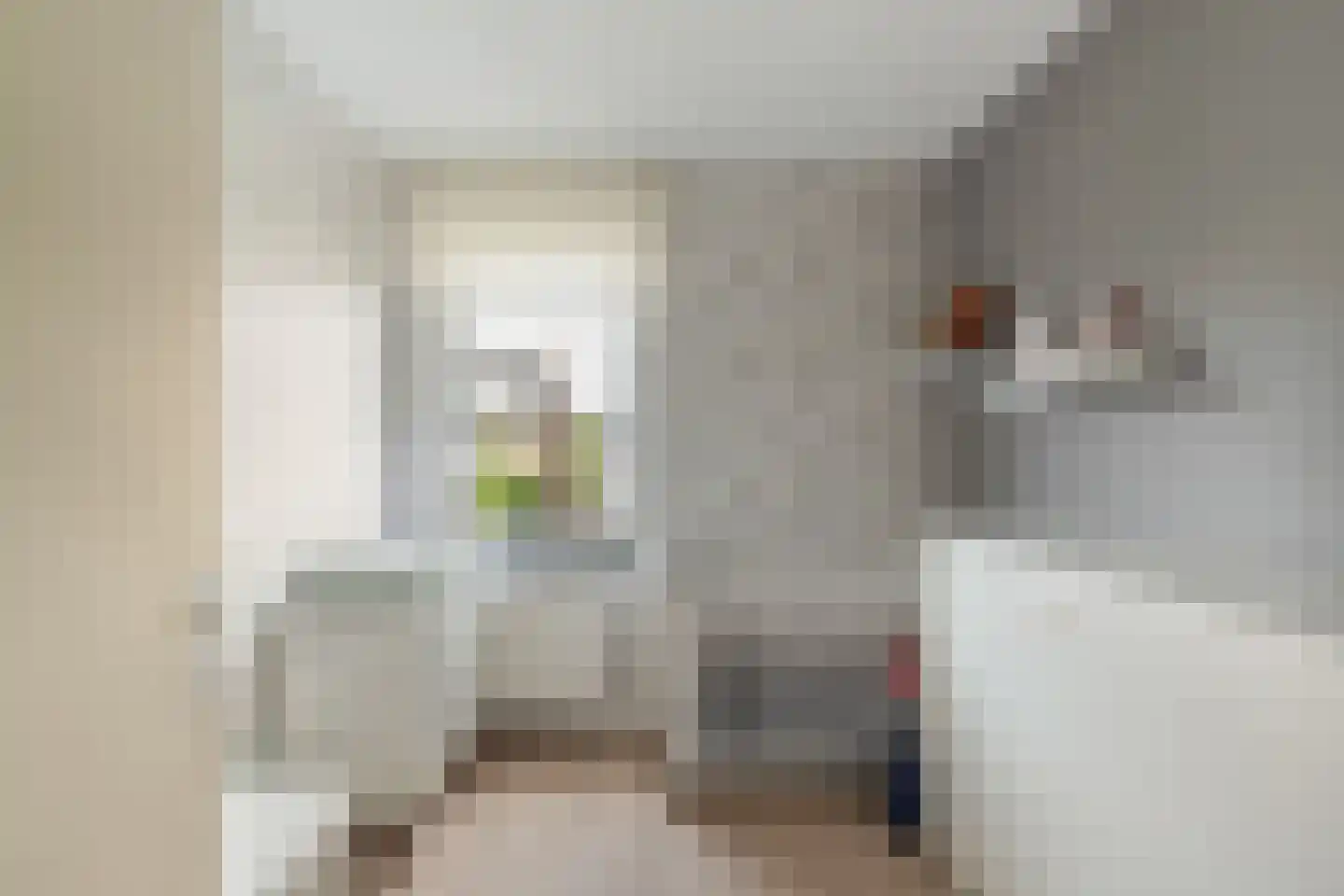 Veersemeerstraat 27 Berkel en Rodenrijs thumbnail 34