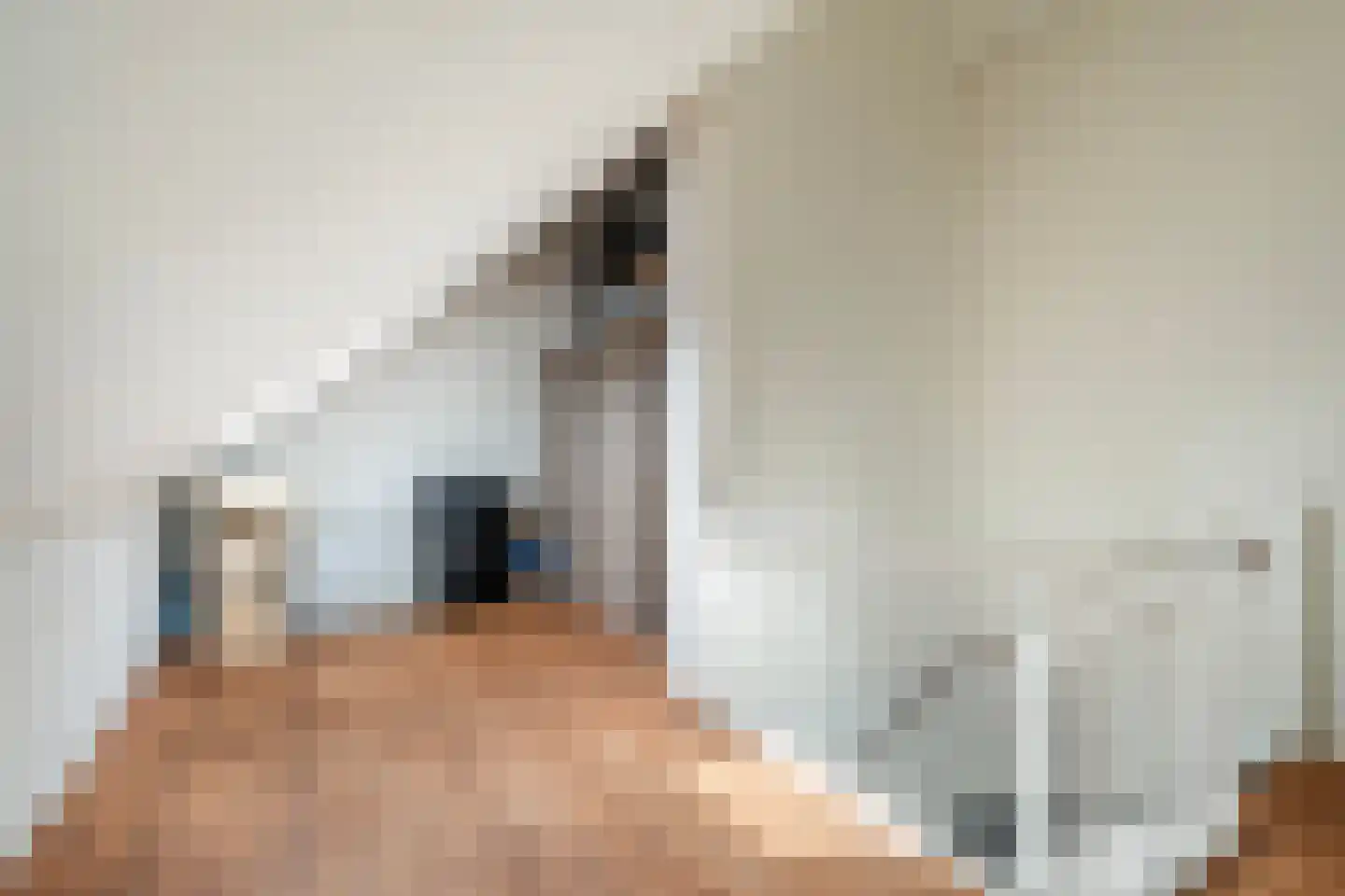 Veersemeerstraat 27 Berkel en Rodenrijs thumbnail 37