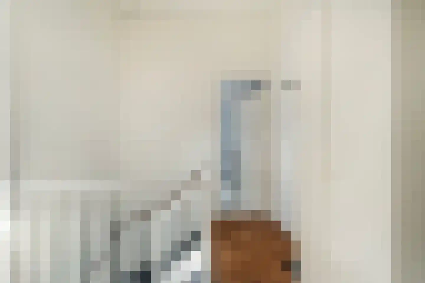 Veersemeerstraat 27 Berkel en Rodenrijs thumbnail 38