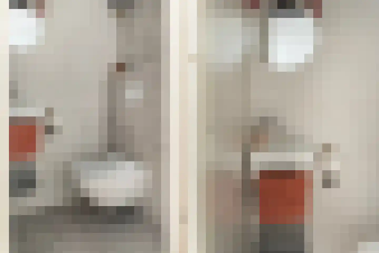 Veersemeerstraat 27 Berkel en Rodenrijs thumbnail 9