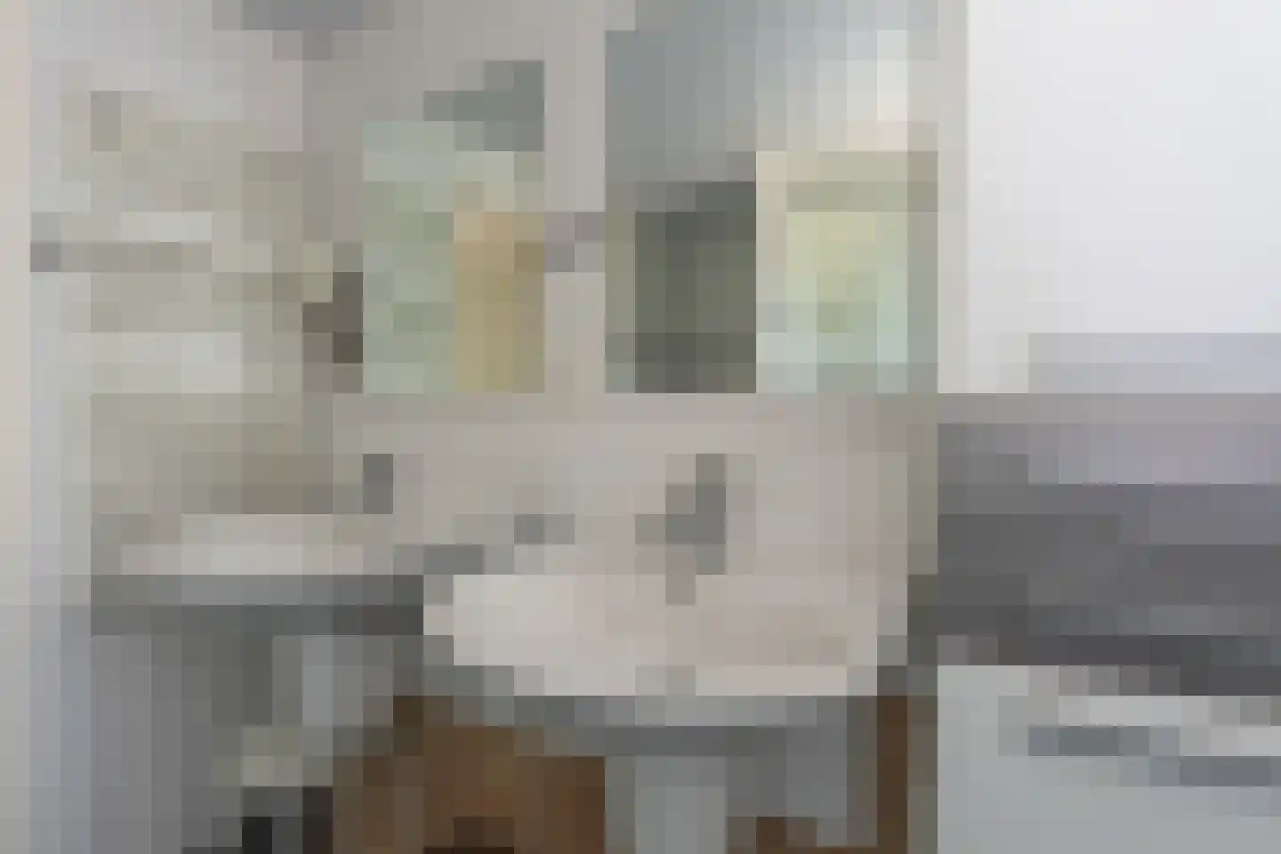 Veersemeerstraat 32 Lewedorp thumbnail 36