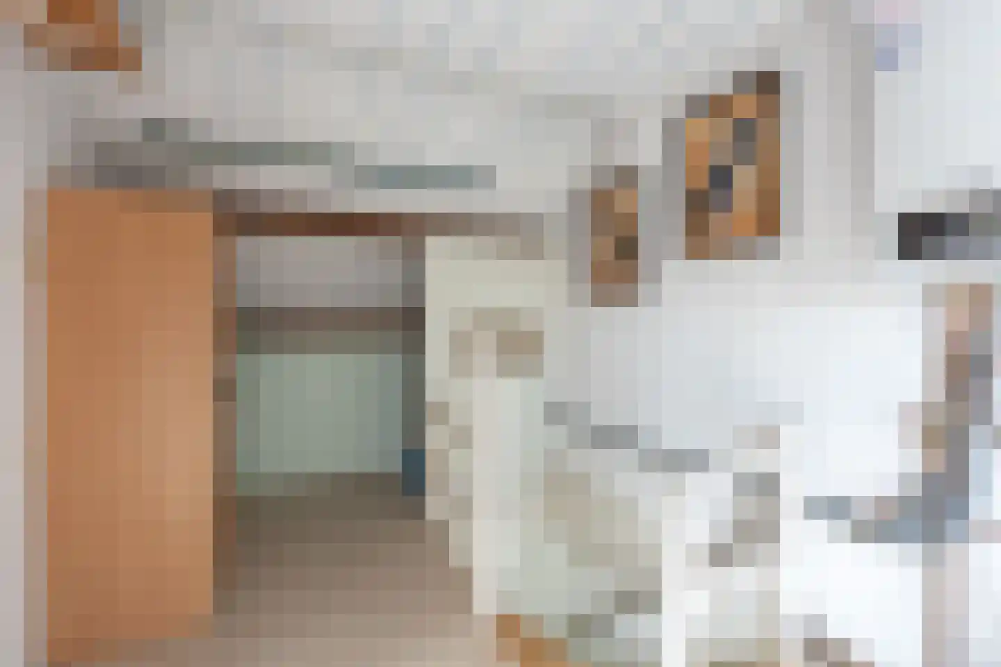 Veersemeerstraat 32 Lewedorp thumbnail 46