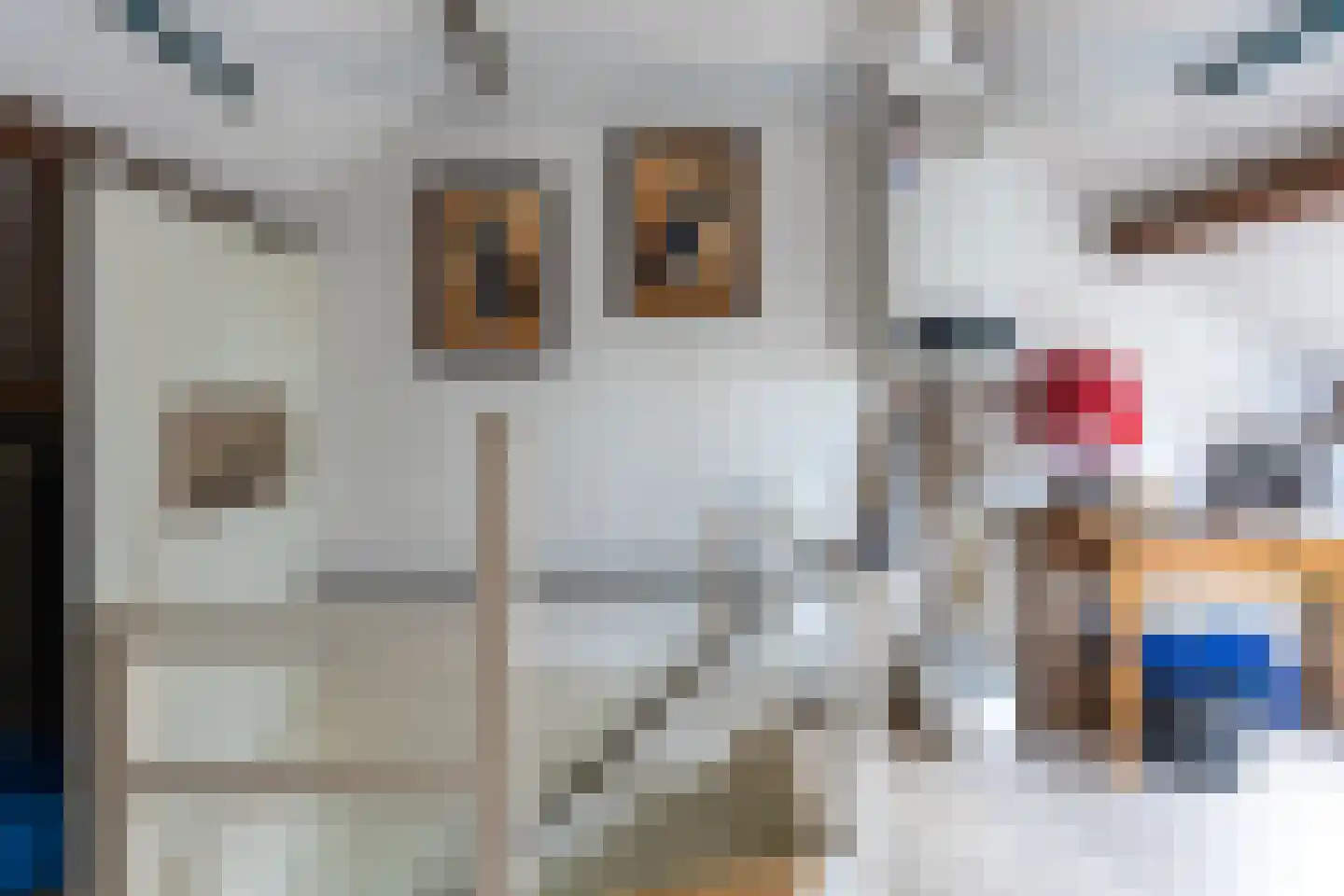 Veersemeerstraat 32 Lewedorp thumbnail 52