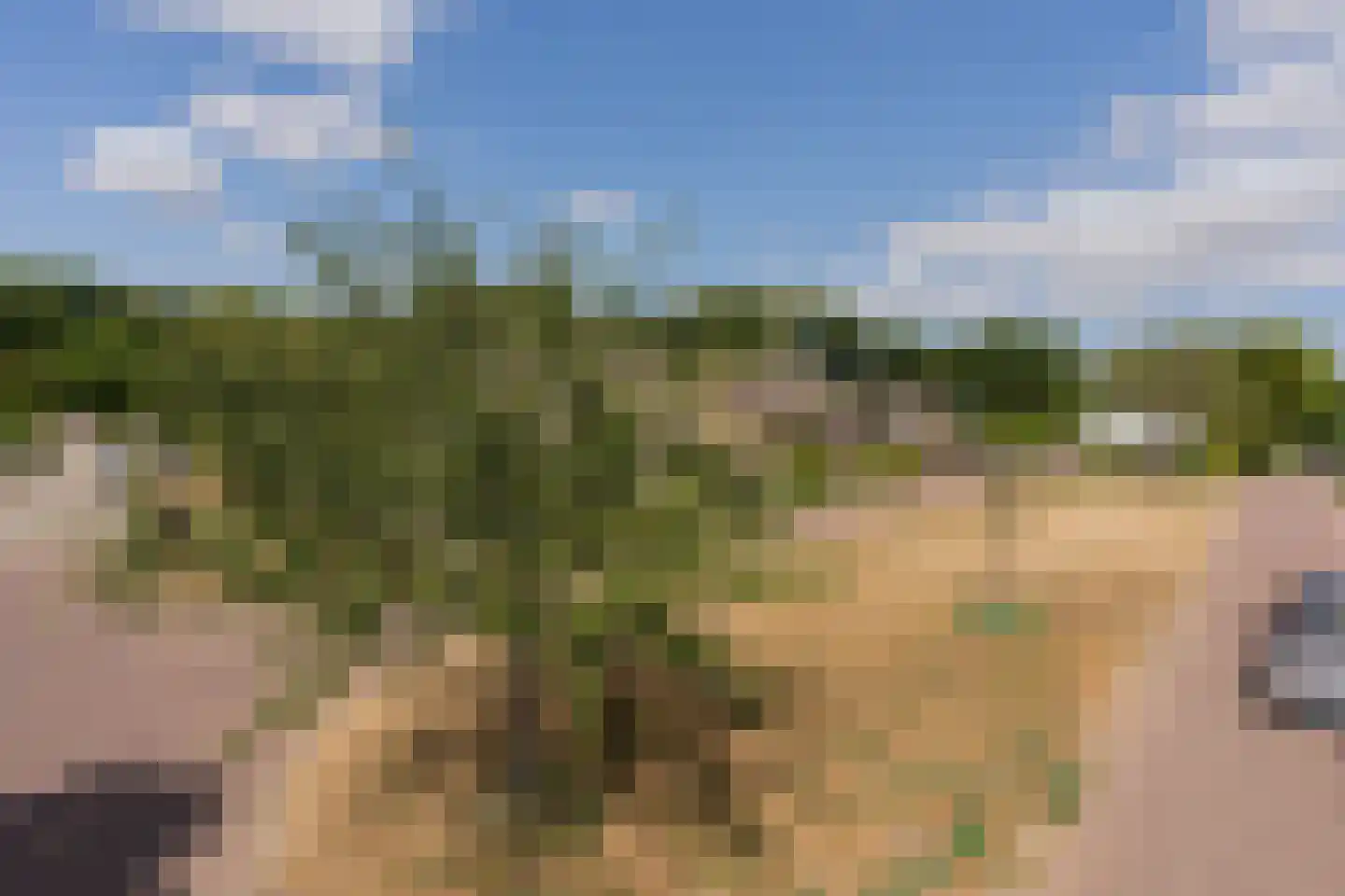 Veersemeerstraat 32 Lewedorp thumbnail 8