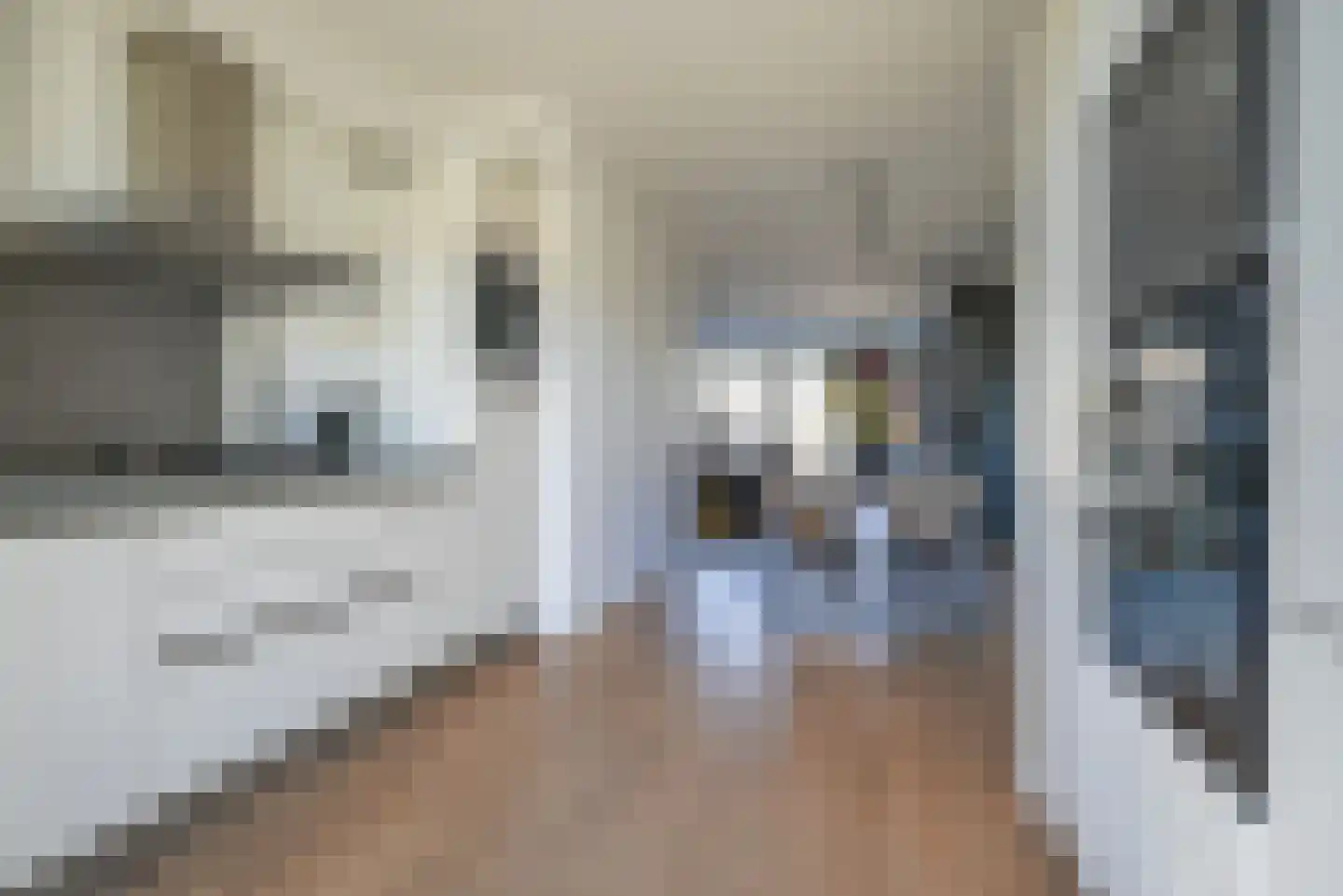Veersemeerstraat 39 Berkel en Rodenrijs thumbnail 10