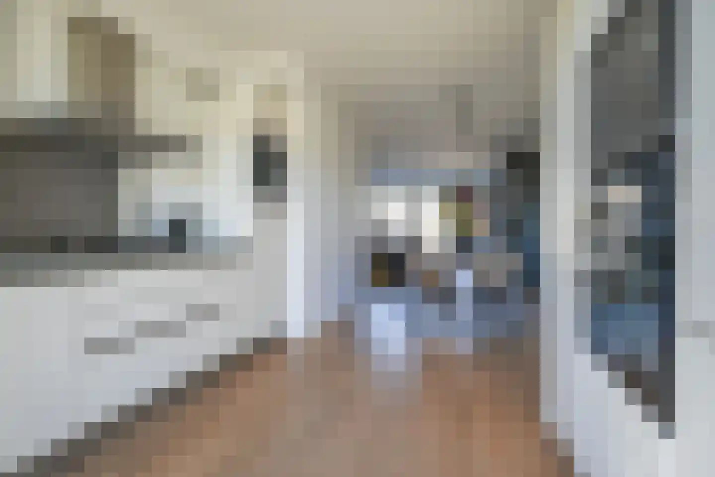 Veersemeerstraat 39 Berkel en Rodenrijs thumbnail 10