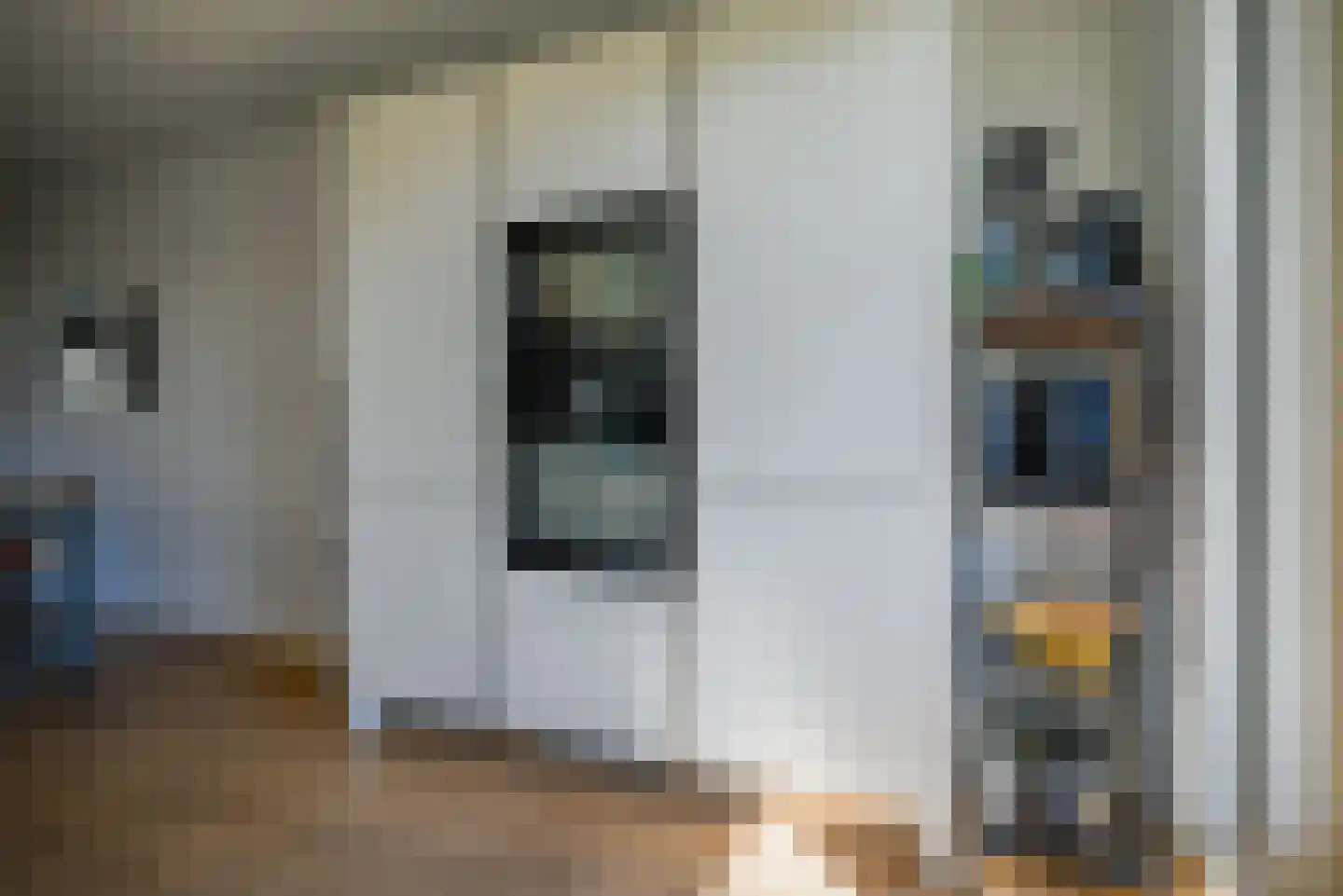 Veersemeerstraat 39 Berkel en Rodenrijs thumbnail 11