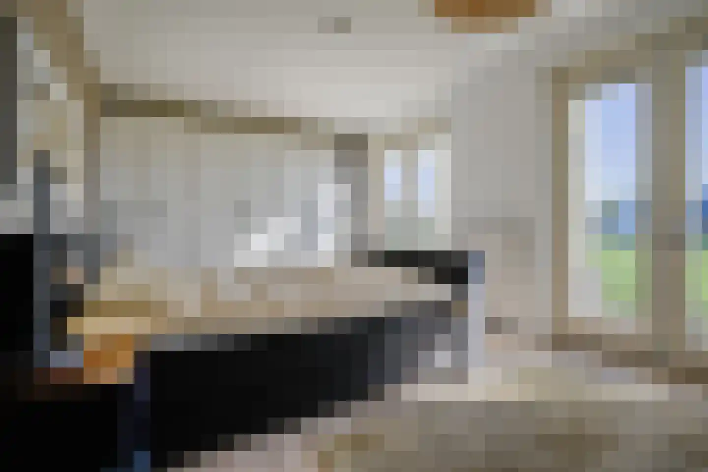 Veersemeerstraat 39 Berkel en Rodenrijs thumbnail 17