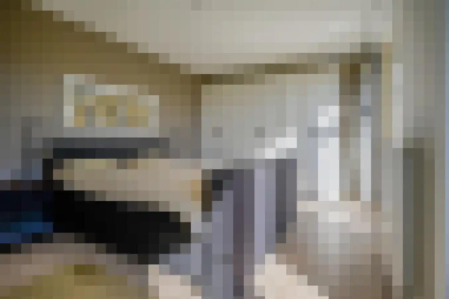 Veersemeerstraat 39 Berkel en Rodenrijs thumbnail 18