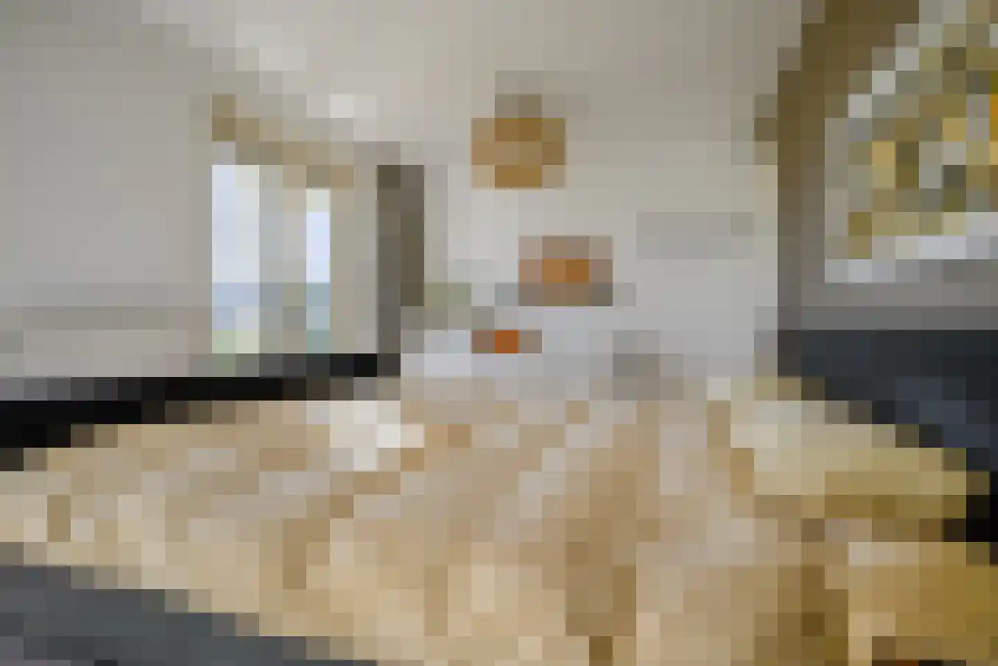 Veersemeerstraat 39 Berkel en Rodenrijs thumbnail 20