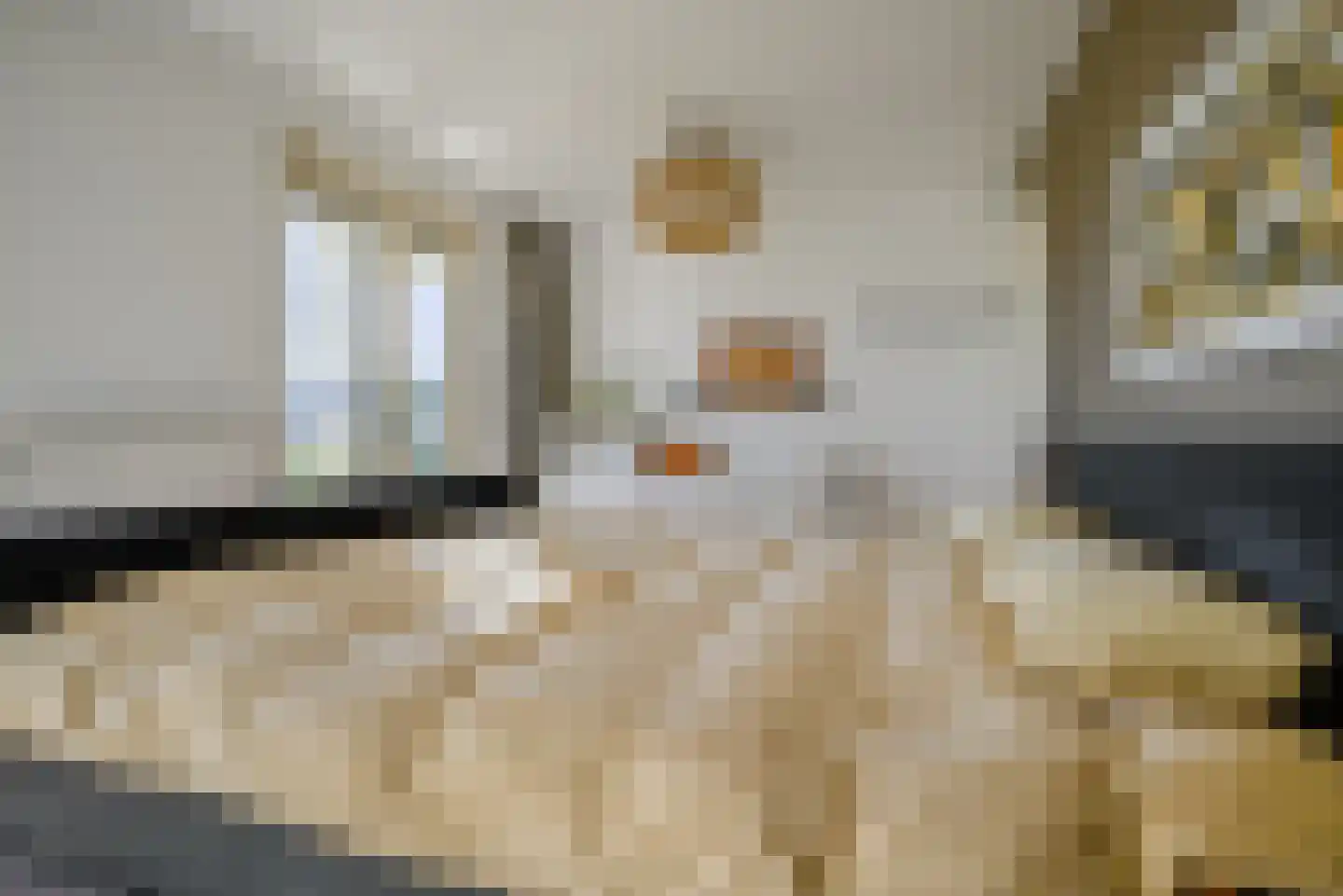 Veersemeerstraat 39 Berkel en Rodenrijs thumbnail 20
