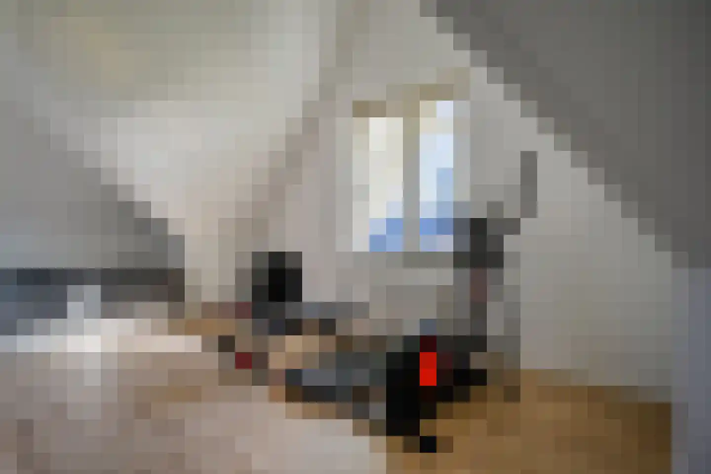 Veersemeerstraat 39 Berkel en Rodenrijs thumbnail 37