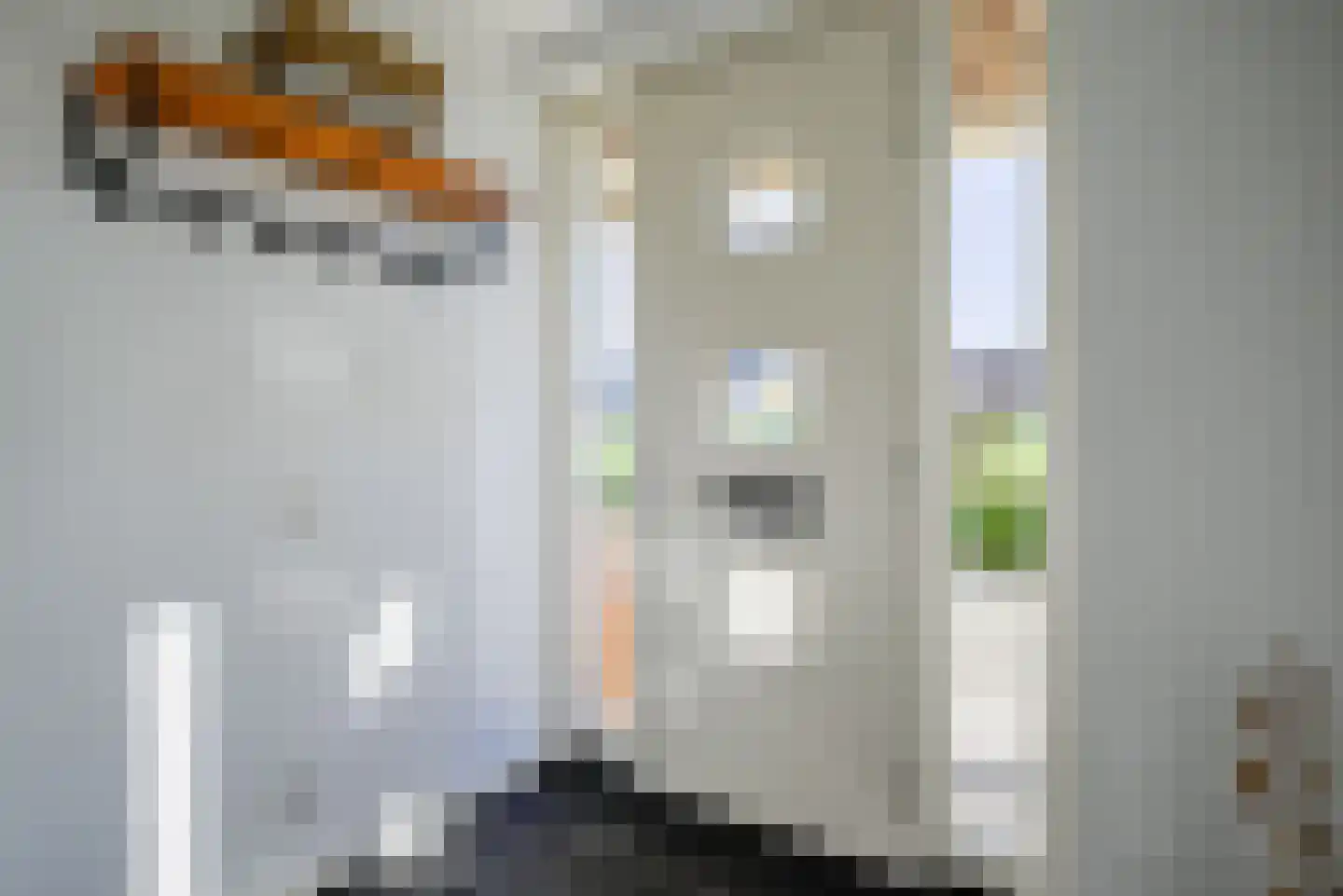 Veersemeerstraat 39 Berkel en Rodenrijs thumbnail 6