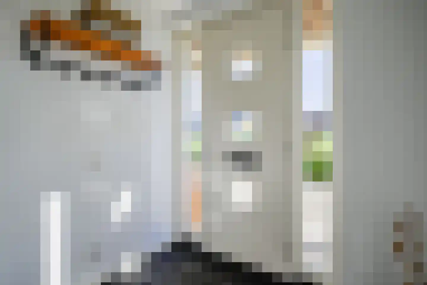 Veersemeerstraat 39 Berkel en Rodenrijs thumbnail 6