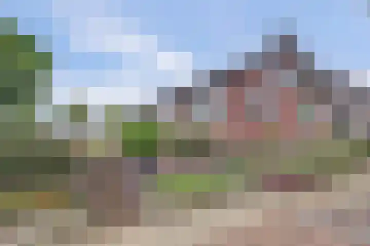Veersepad 50 Kessel thumbnail 4