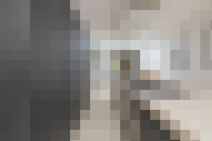 Veersesingel 204 Middelburg thumbnail 14