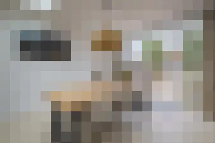 Veersesingel 204 Middelburg thumbnail 16