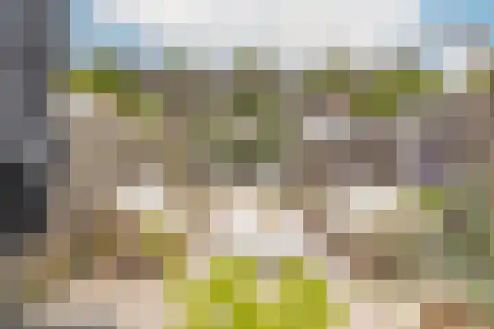 Veersesingel 204 Middelburg thumbnail 24