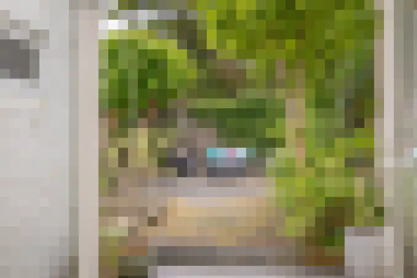 Veersesingel 236 Middelburg thumbnail 27