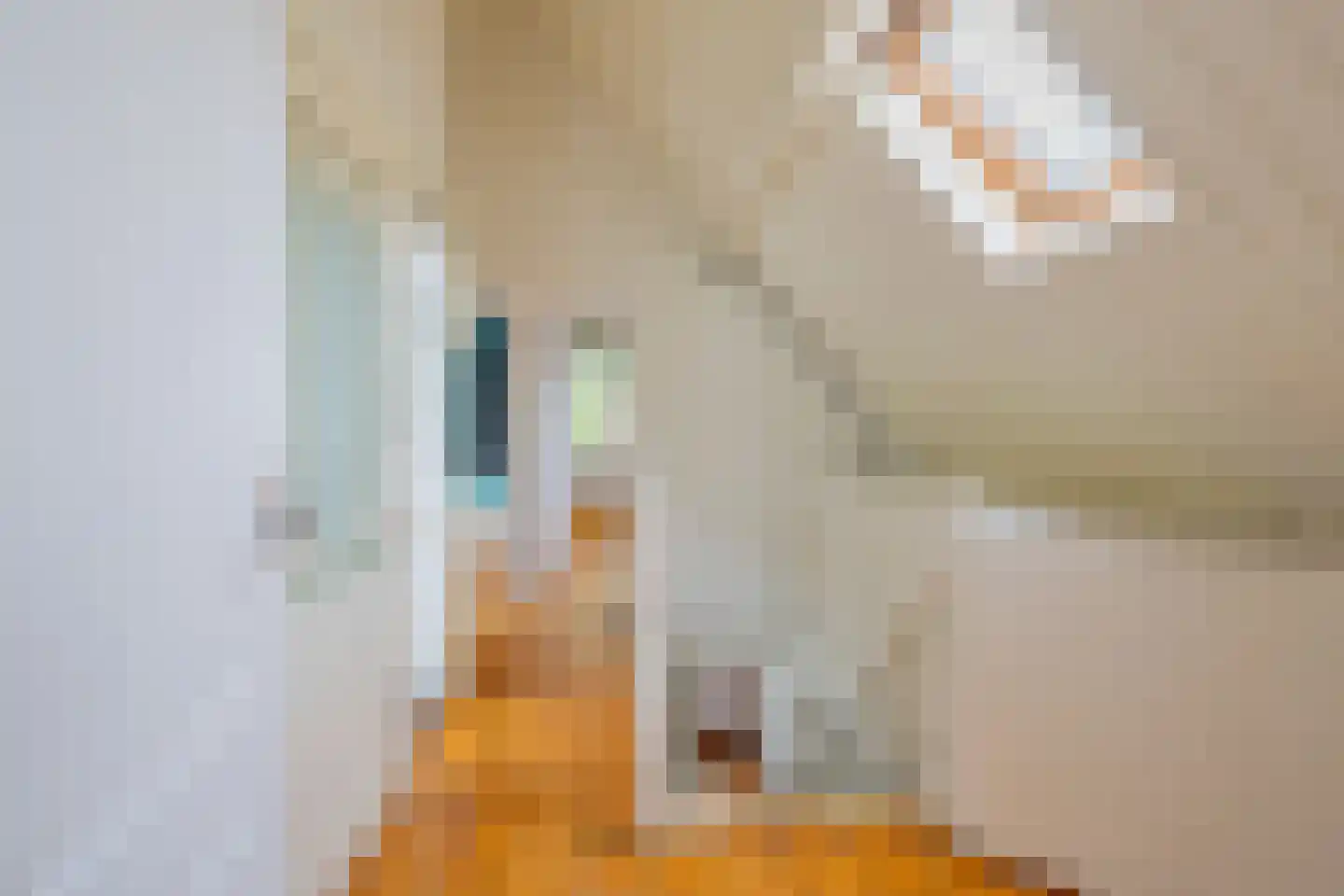 Veersesingel 236 Middelburg thumbnail 37