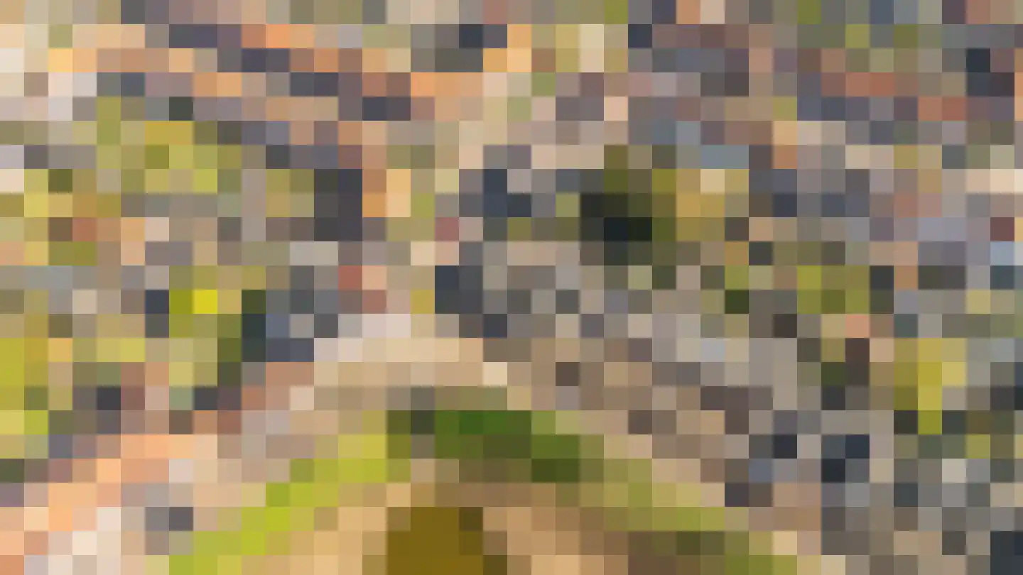 Veersesingel 238 Middelburg thumbnail 10