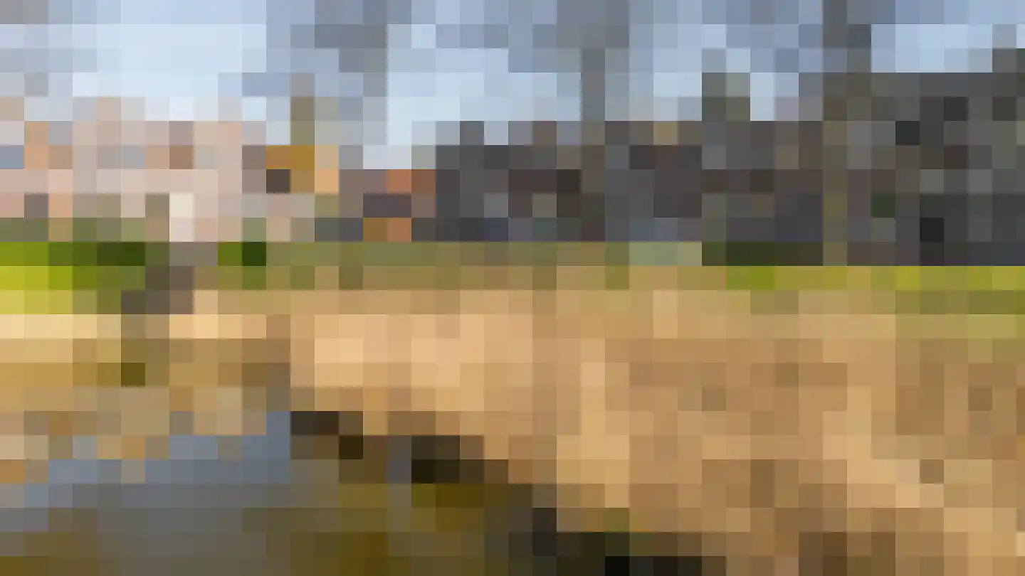 Veersesingel 238 Middelburg thumbnail 11