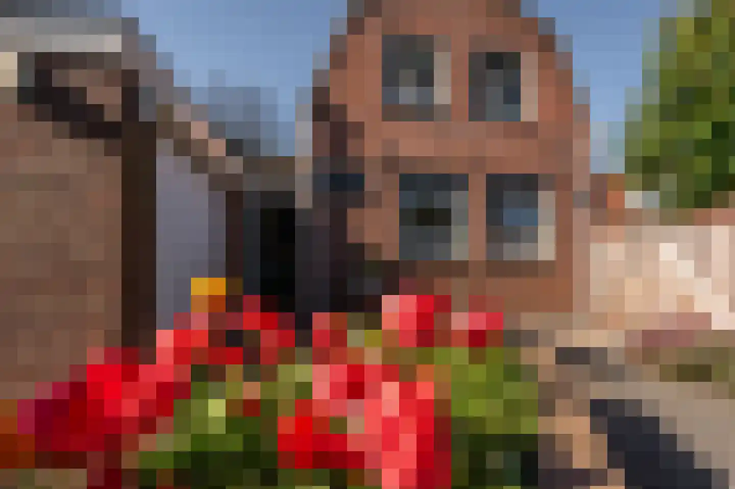 Veersesingel 238 Middelburg thumbnail 15
