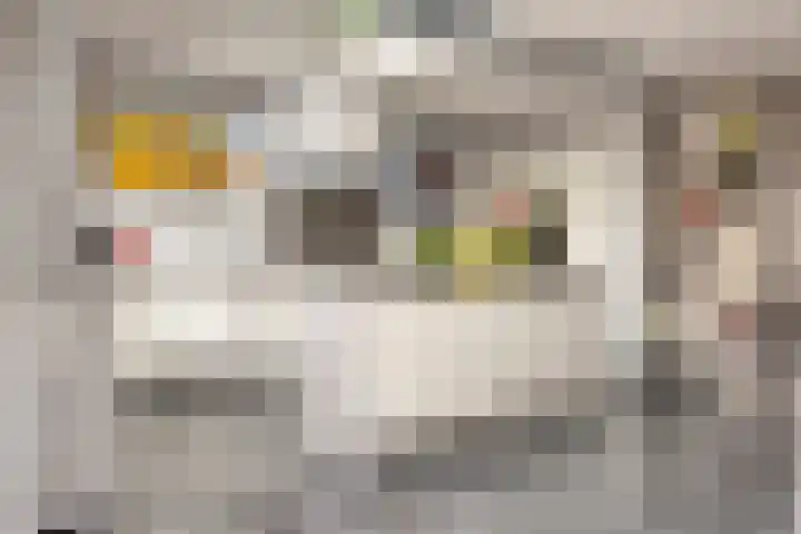 Veersesingel 7 Middelburg thumbnail 13