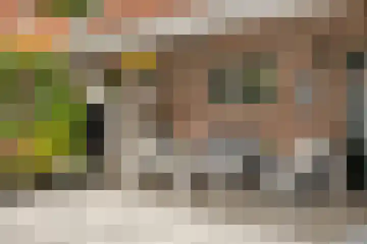 Veersesingel 7 Middelburg thumbnail 30