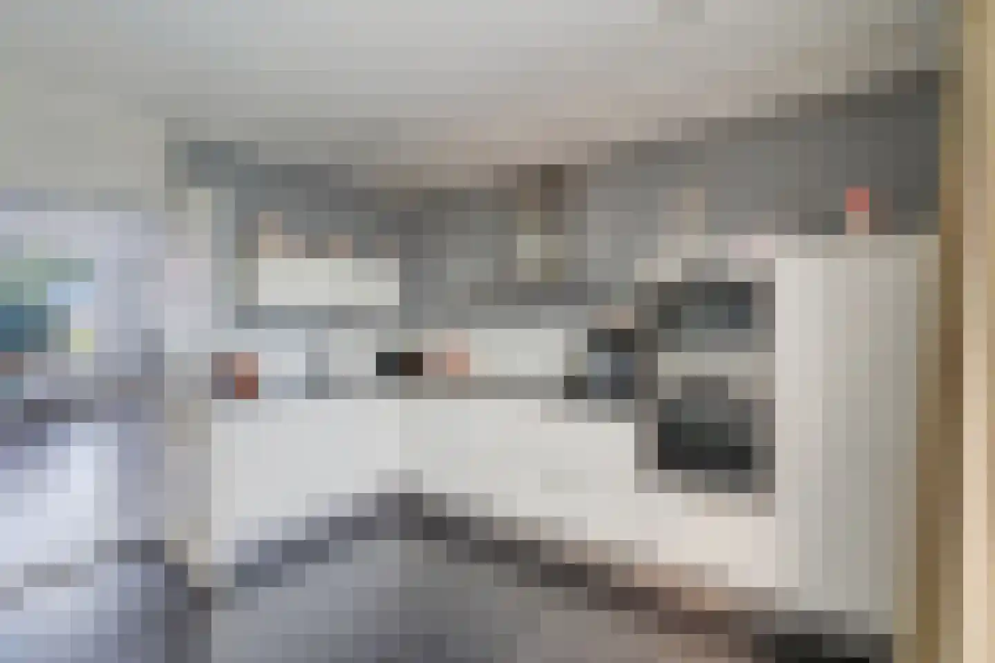 Veersestraat 16 A Guttecoven thumbnail 11